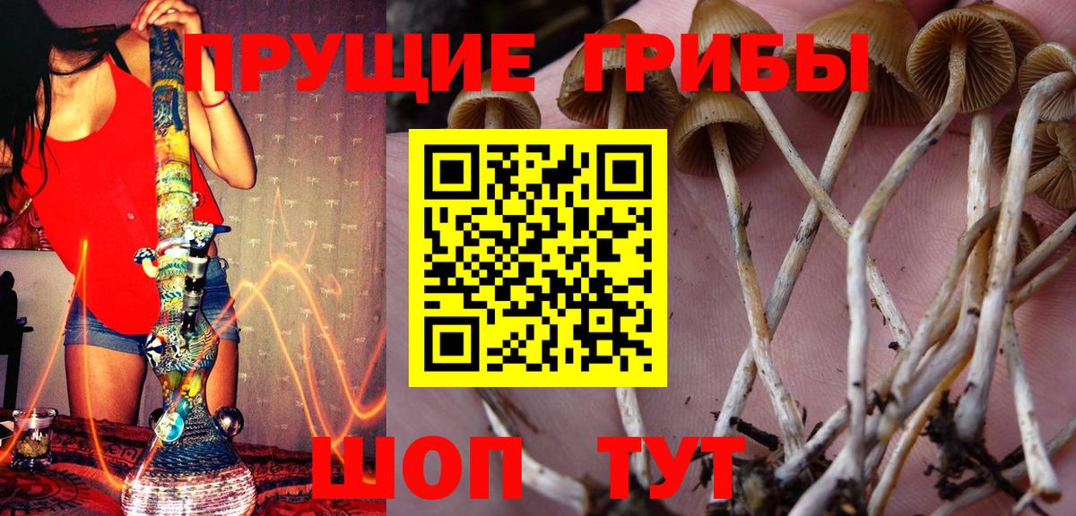 Тихвин  Псилоцибиновые грибы мухоморы  Вход с VPN 